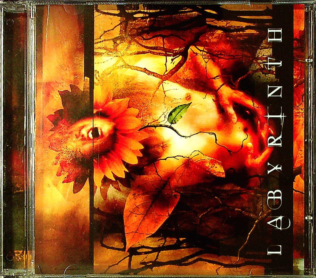 Cd - Labyrinth  Labyrinth