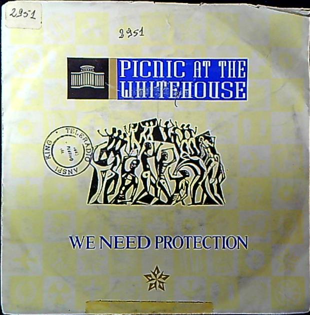 Picnic At The Whitehouse We Need Protection House Vinile 45 Giri Synth-pop Disco Portrait 1986 Stampa Italiana