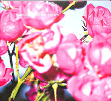 CD - Hagedorn  Home Grown