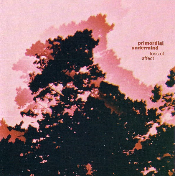 Cd - Primordial Undermind  Loss Of Affect