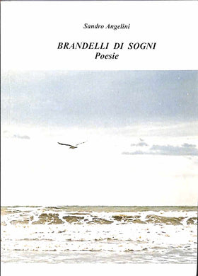 brandelli di sogni - poesie Angelini Sandro