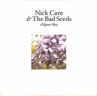 Cd - Nick Cave & The Bad Seeds  Nature Boy