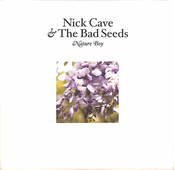 Cd - Nick Cave & The Bad Seeds  Nature Boy