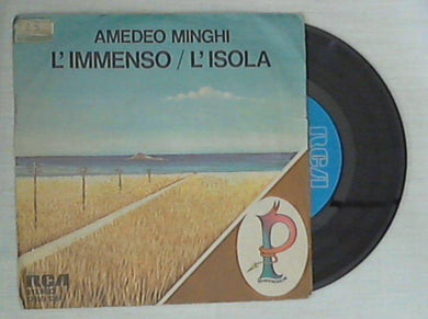 Amedeo Minghi / Paolo Frescura - L'Immenso / Tu Cielo Tu Poesia Vinile 45 Giri RCA Stampa Italiana