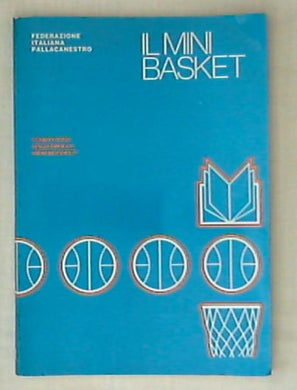 Il mini basket / Maurizio Mondoni  Testo