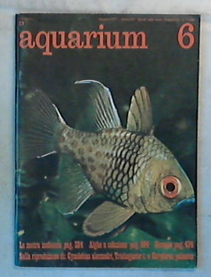 Aquarium Rivista / N 6 giugno 1977  Libro (1977)