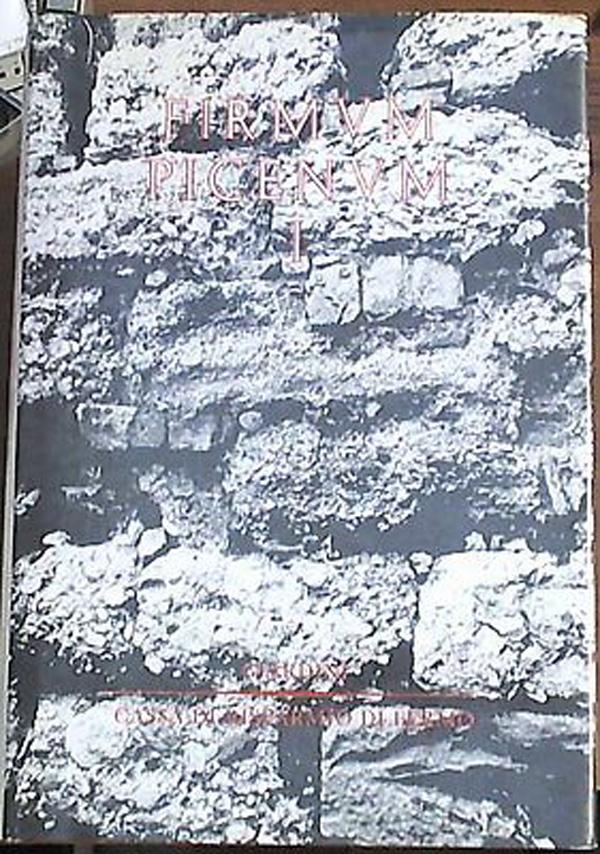 Firmum Picenum, Volume 1 Leandro Polverini