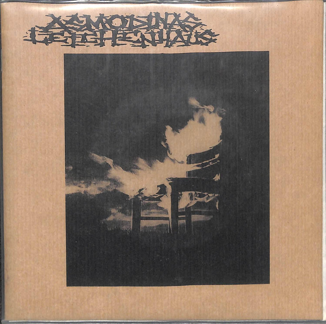 33 ? RPM Asmodinas Leichenhaus - Asmodinas Leichenhaus Vinile 45 Giri Industriefeind Rec 1997