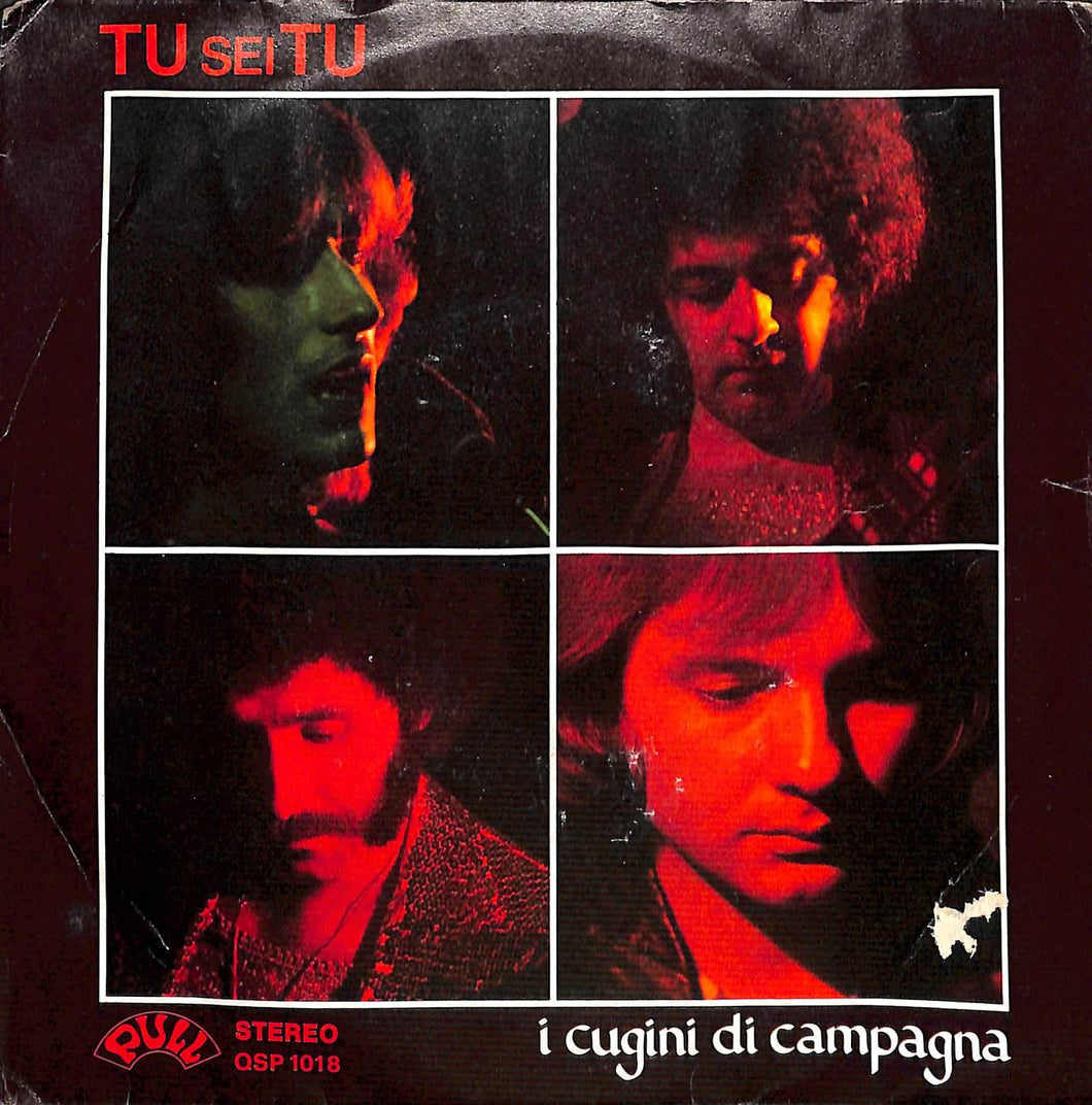 I Cugini Di Campagna - Tu Sei Tu Vinile 45 Giri Pull 1977 Stampa Italiana