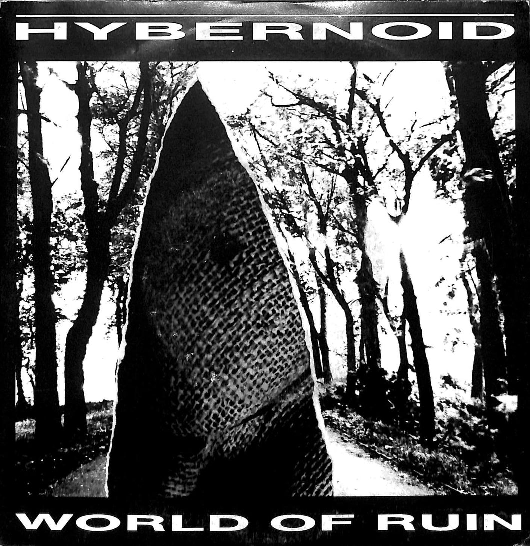 - Hybernoid - World Of Ruin Vinile 45 Giri Displeased Records 1994