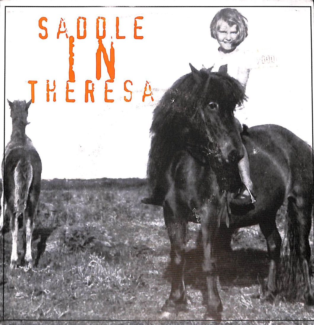 - Saddle In Theresa - Brown Bag Vinile 45 Giri Redemption Records 1994