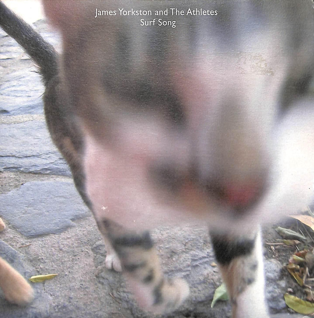 - James Yorkston And The Athletes - Surf Song Vinile 45 Giri Domino