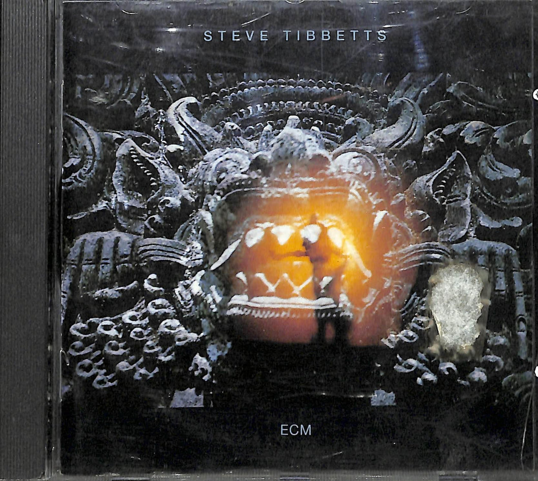 CD - Steve Tibbetts - The Fall Of Us All ECM