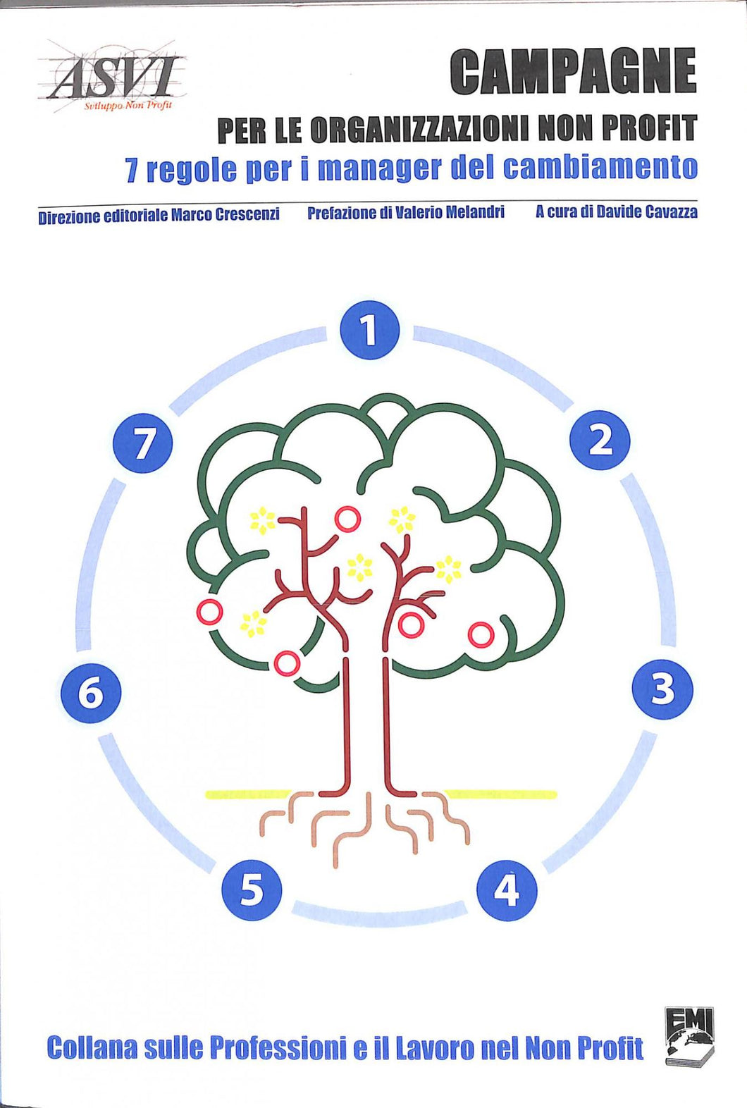 Campagne per le organizzazioni non profit. 7 regole per i manager del cambiamento<br />di D. Cavazza (a cura di)