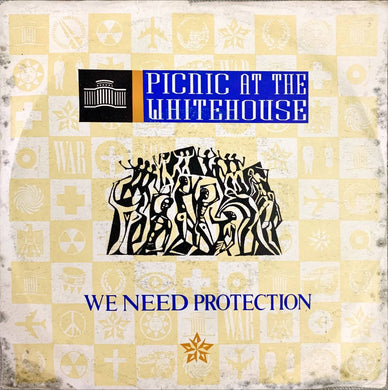 45 Giri - Picnic At The Whitehouse  We Need Protection