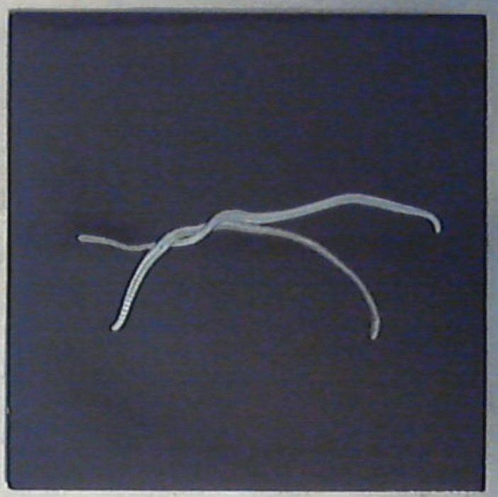 45 giri - 7'' - Scheer - Shéa AD 6003 Mint