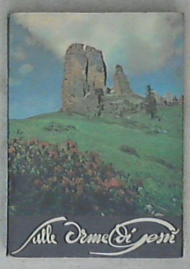 Sulle orme di Gesù : meditazioni sul Vangelo : 4. per signorine / Giuseppe Angrisani