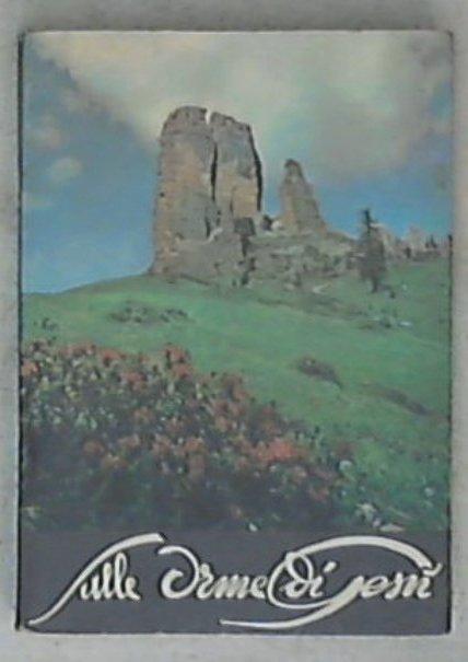 Sulle orme di Gesù : meditazioni sul Vangelo : 4. per signorine / Giuseppe Angrisani