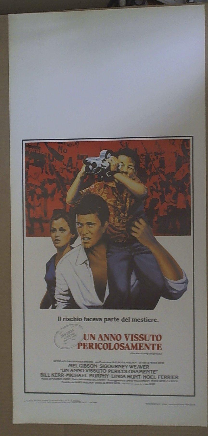Locandina Un Anno Vissuto Pericolosamente