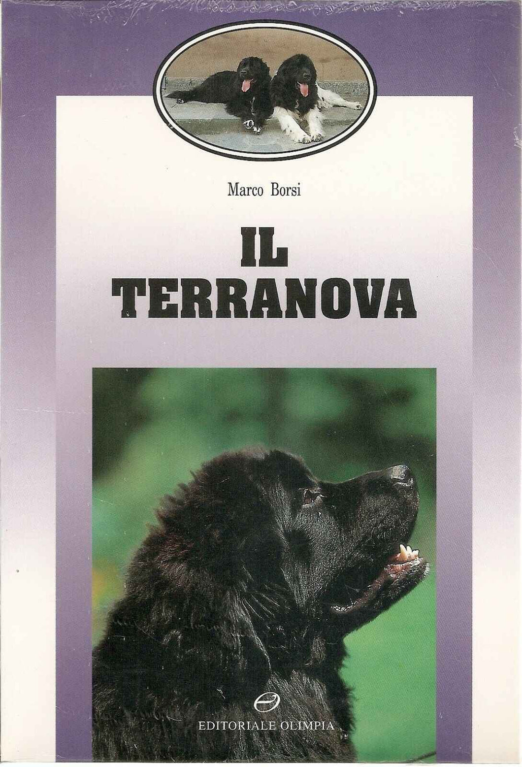 Il terranova / Marco Borsi