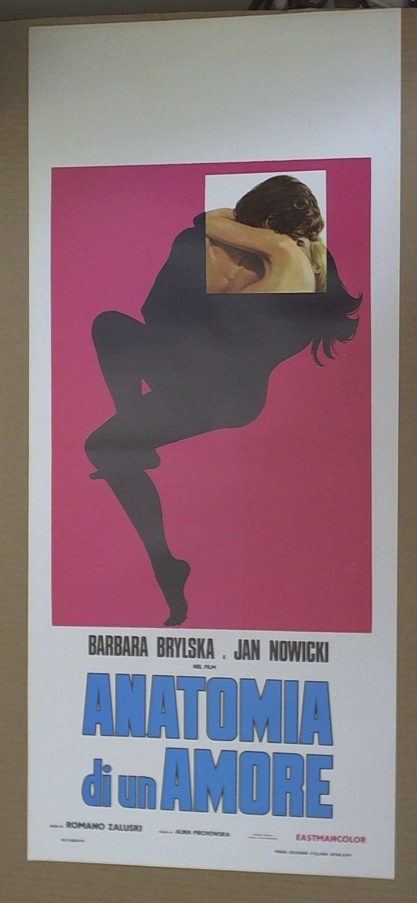 Locandina Anatomia di un amore - Anatomia milosci