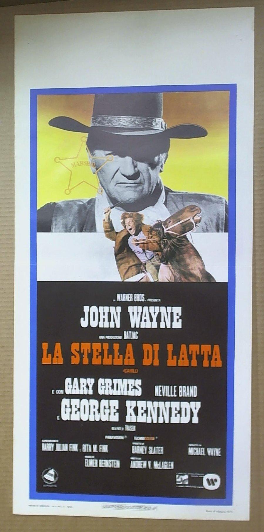 locandina La stella di latta 1973