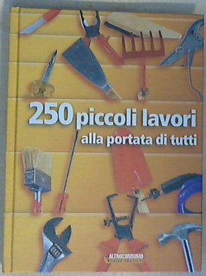 Duecentocinquanta piccoli lavori alla portata di tutti - Copertina rigida