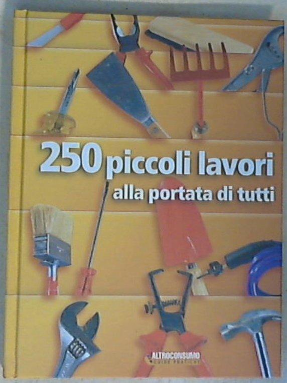 Duecentocinquanta piccoli lavori alla portata di tutti - Copertina rigida