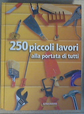 Duecentocinquanta piccoli lavori alla portata di tutti - Copertina rigida