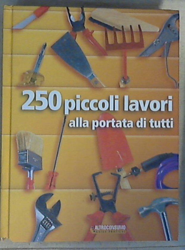 Duecentocinquanta piccoli lavori alla portata di tutti - Copertina rigida