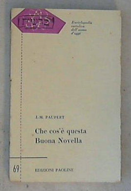 Che cos'è questa Buona Novella : saggio sul Vangelo / Jean-Marie Paupert