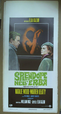 Locandina Splendore Nell'erba 1979  Nathalie Wood , Warren Beatty