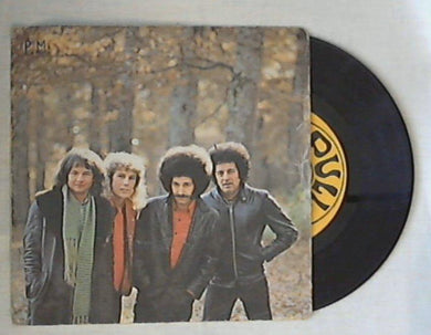 45 giri - 7'' - I Cugini Di Campagna - No Tu No