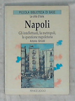Napoli : gli intellettuali, la metropoli, la questione napoletana / Antonio Ghirelli