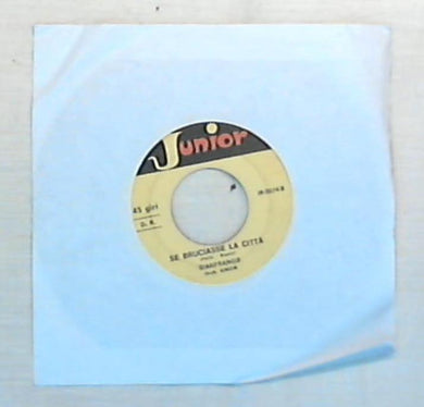 45 giri - 7'' - Paolo / Gianfranco - Mi Ritorni In Mente / Se Bruciasse La Città - JR 0074