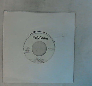 45 giri - 7'' - East 17 / Gatto Panceri - Around The World / Amarsi Un Po'