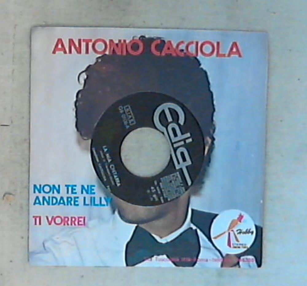 45 giri - 7'' - Antonio Cacciola - Non Te Ne Andare Lilly / Ti Vorrei ZBOB 7283