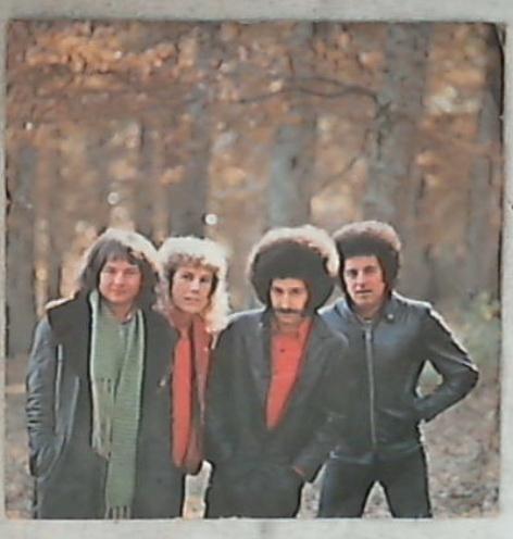 45 giri 7 '' - I Cugini Di Campagna - No Tu No QSP 1030