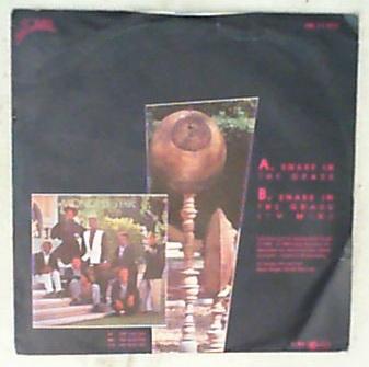 45 giri - 7'' - Midnight Star - Snake In The Grass