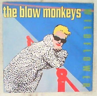 45 giri - 7'' - The Blow Monkeys - Wildflower