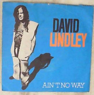 45 giri - 7'' - David Lindley - Ain't No Way