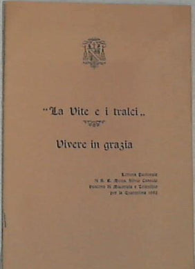 La vite e i tralci - vivere in grazia