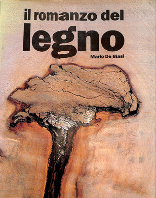 Il romanzo del legno 1988
di Mario De Biasi
