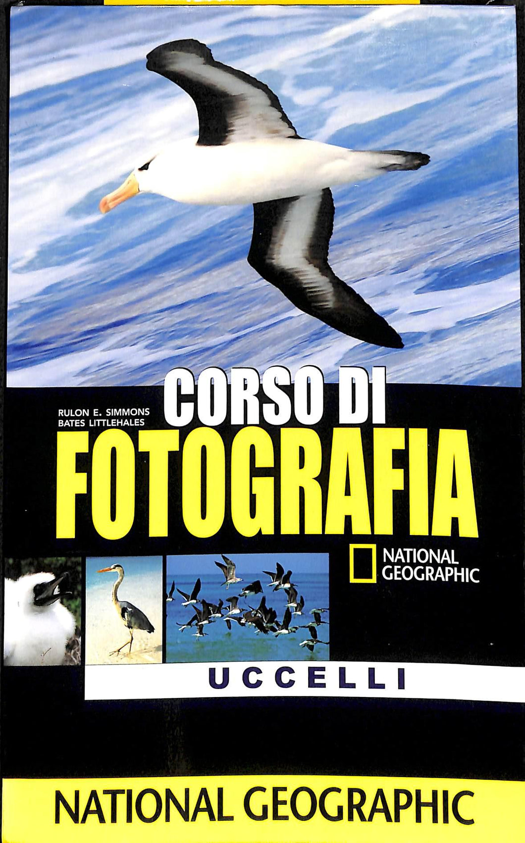 Corso di fotografia. Uccelli