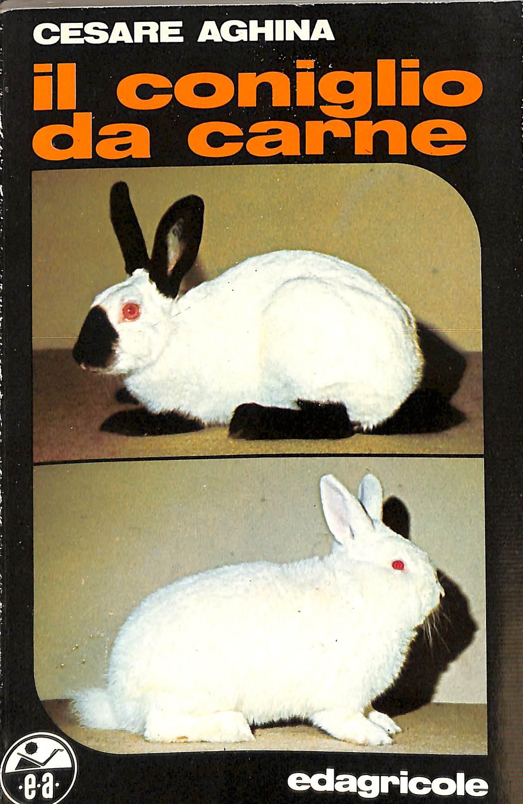 Il coniglio da carne / Cesare Aghina