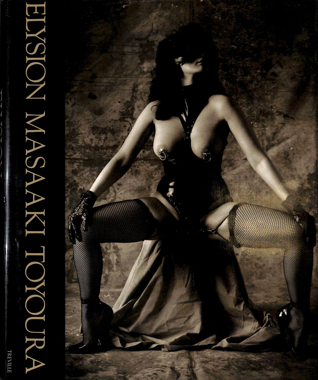 Elysion. Masaaki Toyoura Copertina rigida ? 1993 / Toyoura Masaaki