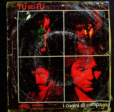 45 giri - Cugini Di Campagna ? Tu Sei Tu