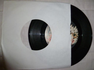 45 giri - 7'' - Nelsen Winitnsky - Il Gabbiano Vola Alto / Voglia Di Liberti